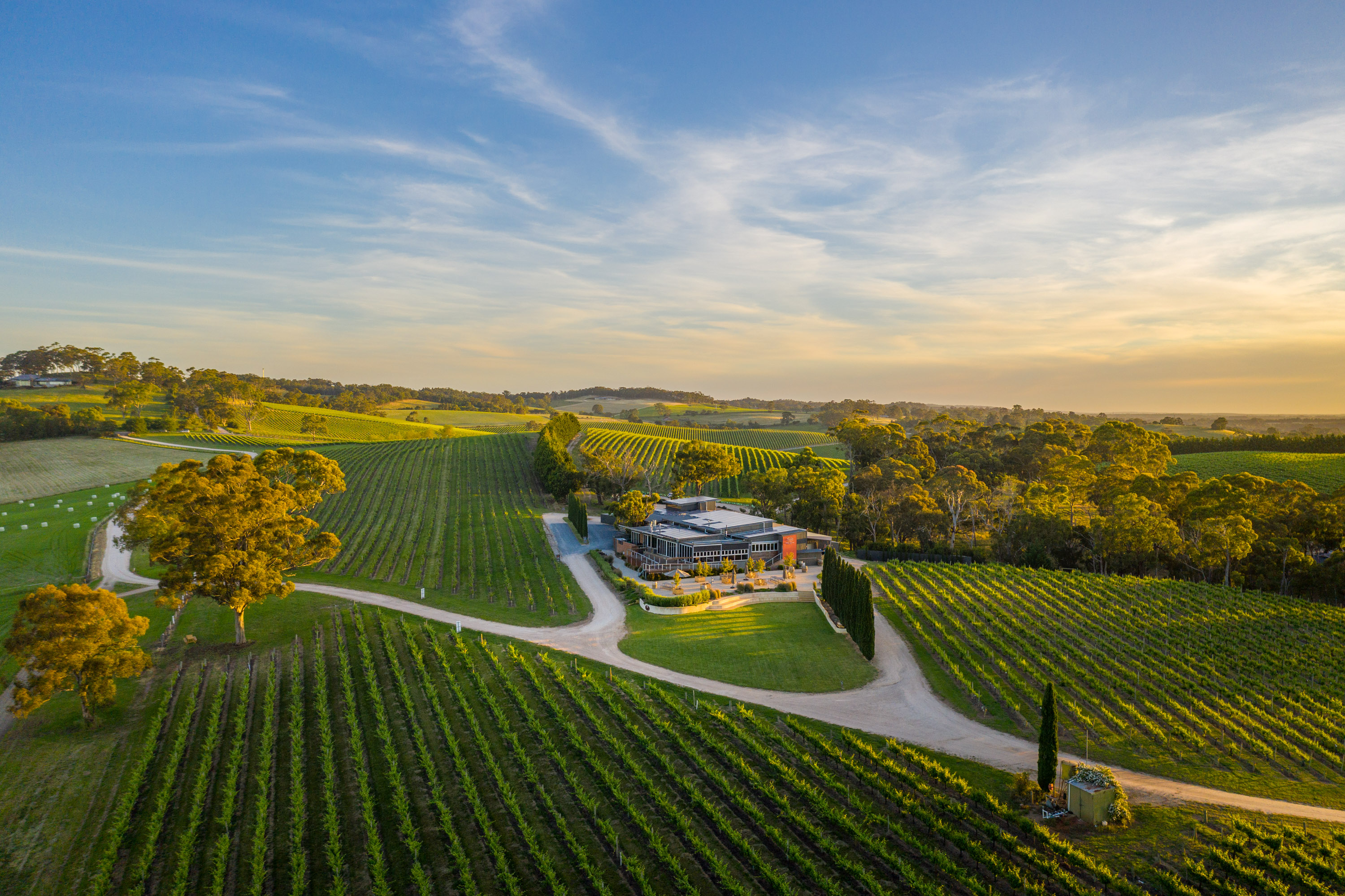 Winery estate 
